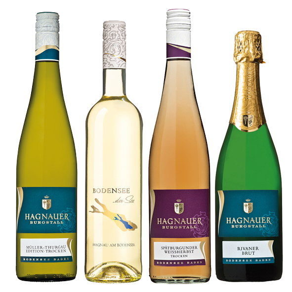 Weinflasche - Sommerwein Paket TROCKEN - versandkostenfrei