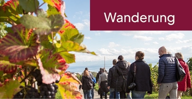 Weinflasche - Herbstweinprobe 26.09.