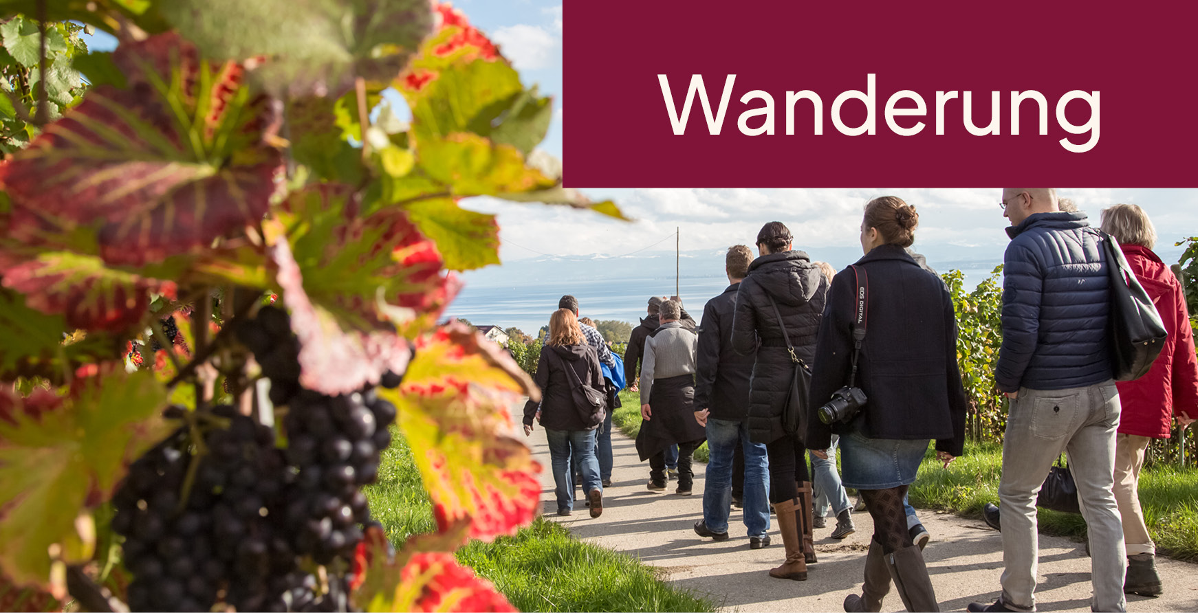 Hagnauer Weinwanderung