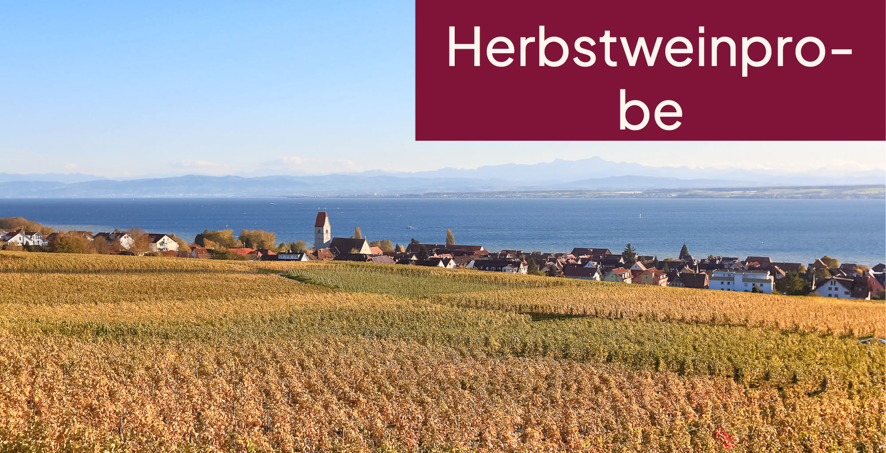 Herbstweinprobe