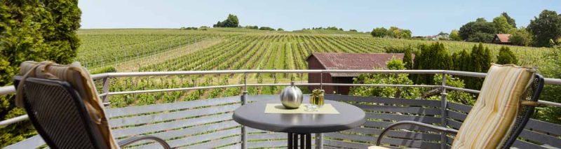 Foto vom Ferienhof Berger